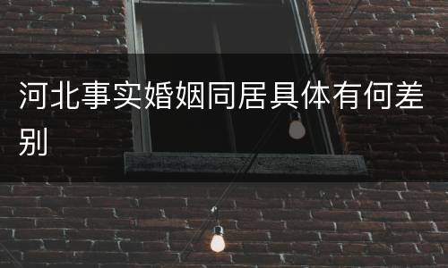 河北事实婚姻同居具体有何差别