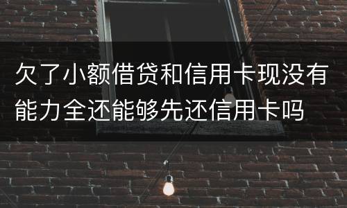欠了小额借贷和信用卡现没有能力全还能够先还信用卡吗