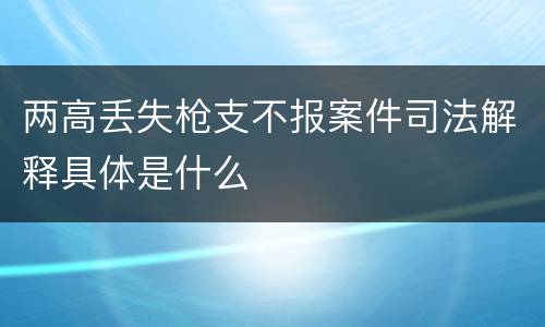 两高丢失枪支不报案件司法解释具体是什么