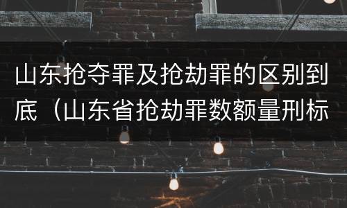 山东抢夺罪及抢劫罪的区别到底（山东省抢劫罪数额量刑标准）