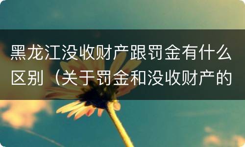黑龙江没收财产跟罚金有什么区别（关于罚金和没收财产的司法解释）