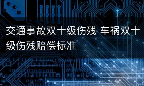 交通事故双十级伤残 车祸双十级伤残赔偿标准
