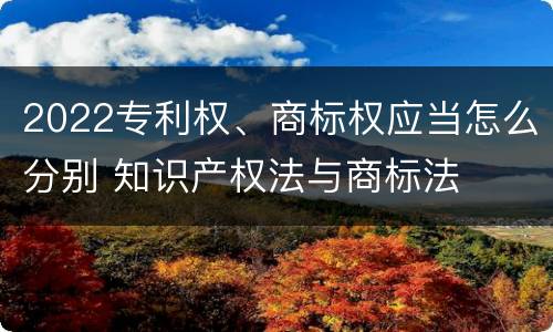 2022专利权、商标权应当怎么分别 知识产权法与商标法