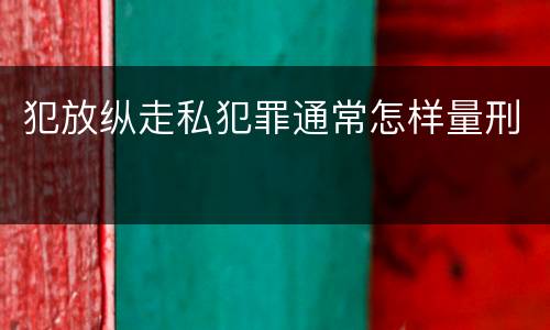 犯放纵走私犯罪通常怎样量刑