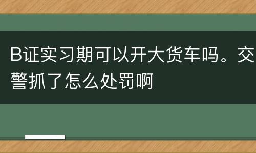 B证实习期可以开大货车吗。交警抓了怎么处罚啊
