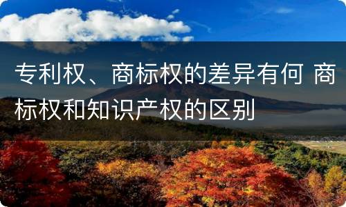专利权、商标权的差异有何 商标权和知识产权的区别