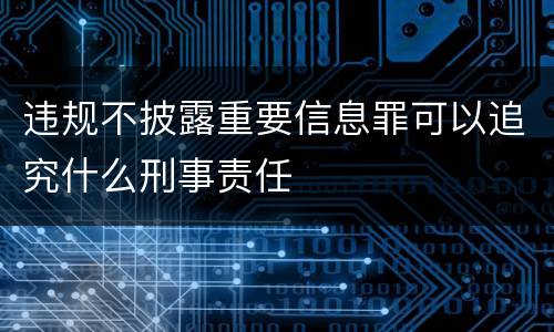 违规不披露重要信息罪可以追究什么刑事责任
