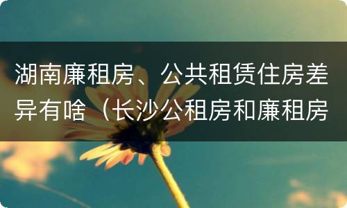 湖南廉租房、公共租赁住房差异有啥（长沙公租房和廉租房的区别）