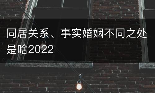 同居关系、事实婚姻不同之处是啥2022
