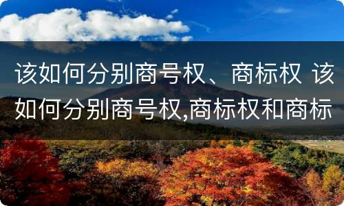 该如何分别商号权、商标权 该如何分别商号权,商标权和商标权