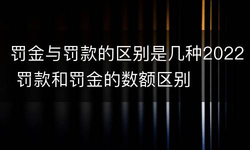 罚金与罚款的区别是几种2022 罚款和罚金的数额区别
