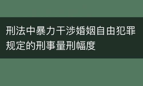 刑法中暴力干涉婚姻自由犯罪规定的刑事量刑幅度