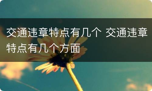 交通违章特点有几个 交通违章特点有几个方面