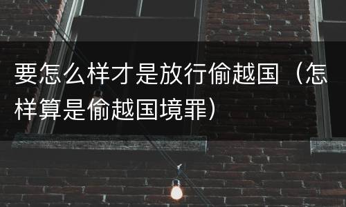 要怎么样才是放行偷越国（怎样算是偷越国境罪）