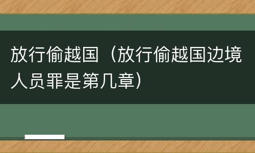 放行偷越国（放行偷越国边境人员罪是第几章）