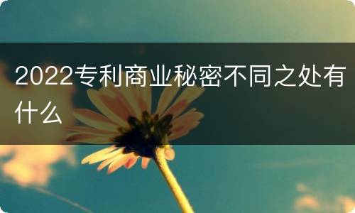 2022专利商业秘密不同之处有什么