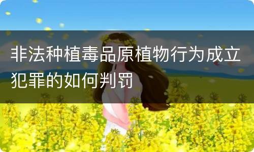 非法种植毒品原植物行为成立犯罪的如何判罚