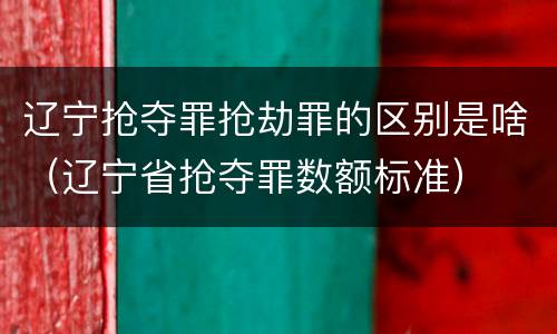辽宁抢夺罪抢劫罪的区别是啥（辽宁省抢夺罪数额标准）