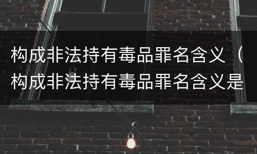 构成非法持有毒品罪名含义（构成非法持有毒品罪名含义是什么）
