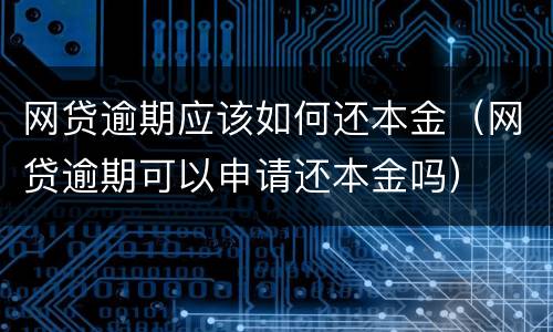 网贷逾期应该如何还本金（网贷逾期可以申请还本金吗）
