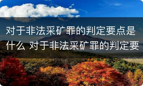 对于非法采矿罪的判定要点是什么 对于非法采矿罪的判定要点是什么标准