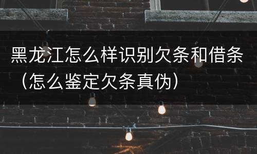 黑龙江怎么样识别欠条和借条（怎么鉴定欠条真伪）
