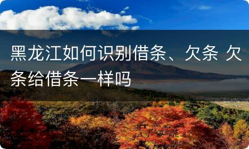黑龙江如何识别借条、欠条 欠条给借条一样吗