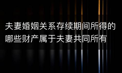 夫妻婚姻关系存续期间所得的哪些财产属于夫妻共同所有