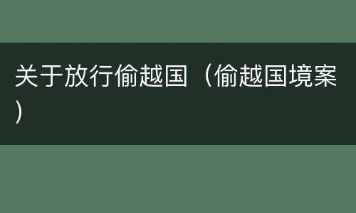 关于放行偷越国（偷越国境案）