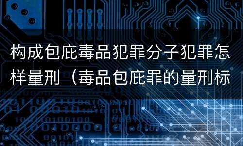 构成包庇毒品犯罪分子犯罪怎样量刑（毒品包庇罪的量刑标准）