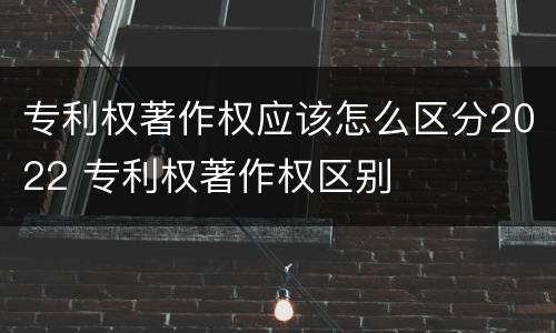专利权著作权应该怎么区分2022 专利权著作权区别