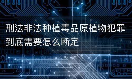 刑法非法种植毒品原植物犯罪到底需要怎么断定