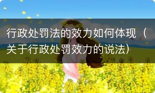 行政处罚法的效力如何体现（关于行政处罚效力的说法）