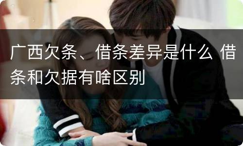 广西欠条、借条差异是什么 借条和欠据有啥区别