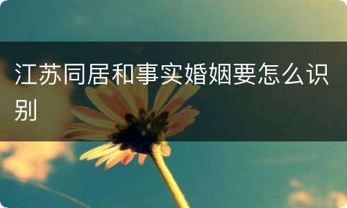 江苏同居和事实婚姻要怎么识别