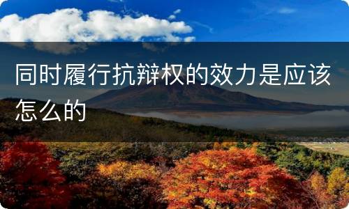 同时履行抗辩权的效力是应该怎么的