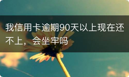 我信用卡逾期90天以上现在还不上，会坐牢吗