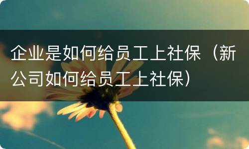 企业是如何给员工上社保（新公司如何给员工上社保）