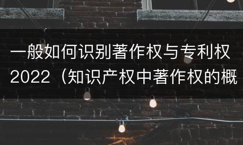 一般如何识别著作权与专利权2022（知识产权中著作权的概念）