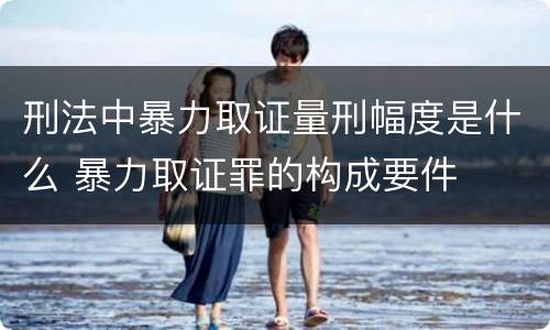 刑法中暴力取证量刑幅度是什么 暴力取证罪的构成要件