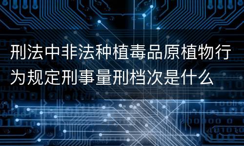 刑法中非法种植毒品原植物行为规定刑事量刑档次是什么