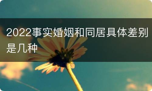 2022事实婚姻和同居具体差别是几种