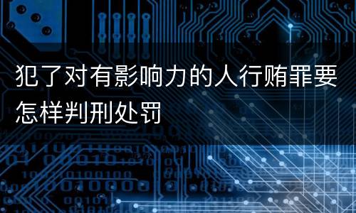 犯了对有影响力的人行贿罪要怎样判刑处罚