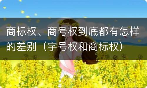 商标权、商号权到底都有怎样的差别（字号权和商标权）