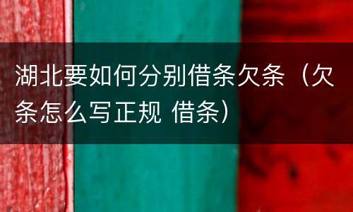 湖北要如何分别借条欠条（欠条怎么写正规 借条）