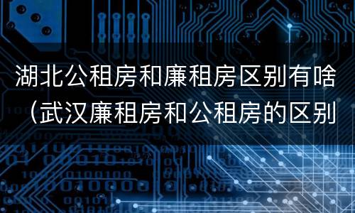 湖北公租房和廉租房区别有啥（武汉廉租房和公租房的区别）