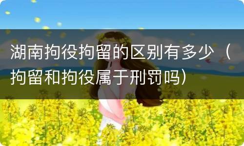 湖南拘役拘留的区别有多少（拘留和拘役属于刑罚吗）