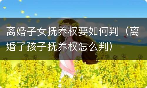 离婚子女抚养权要如何判（离婚了孩子抚养权怎么判）
