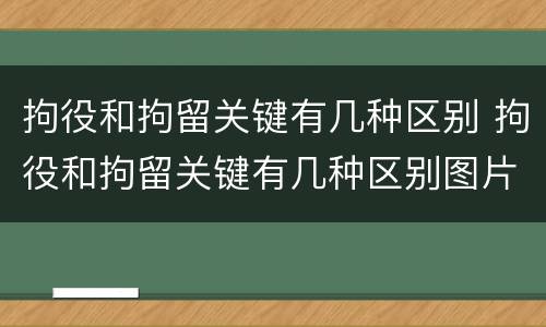 拘役和拘留关键有几种区别 拘役和拘留关键有几种区别图片