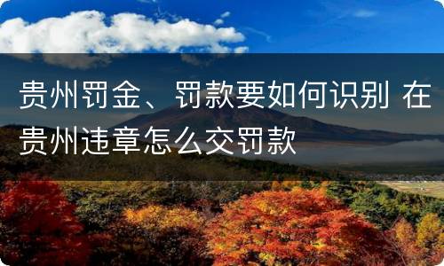 贵州罚金、罚款要如何识别 在贵州违章怎么交罚款